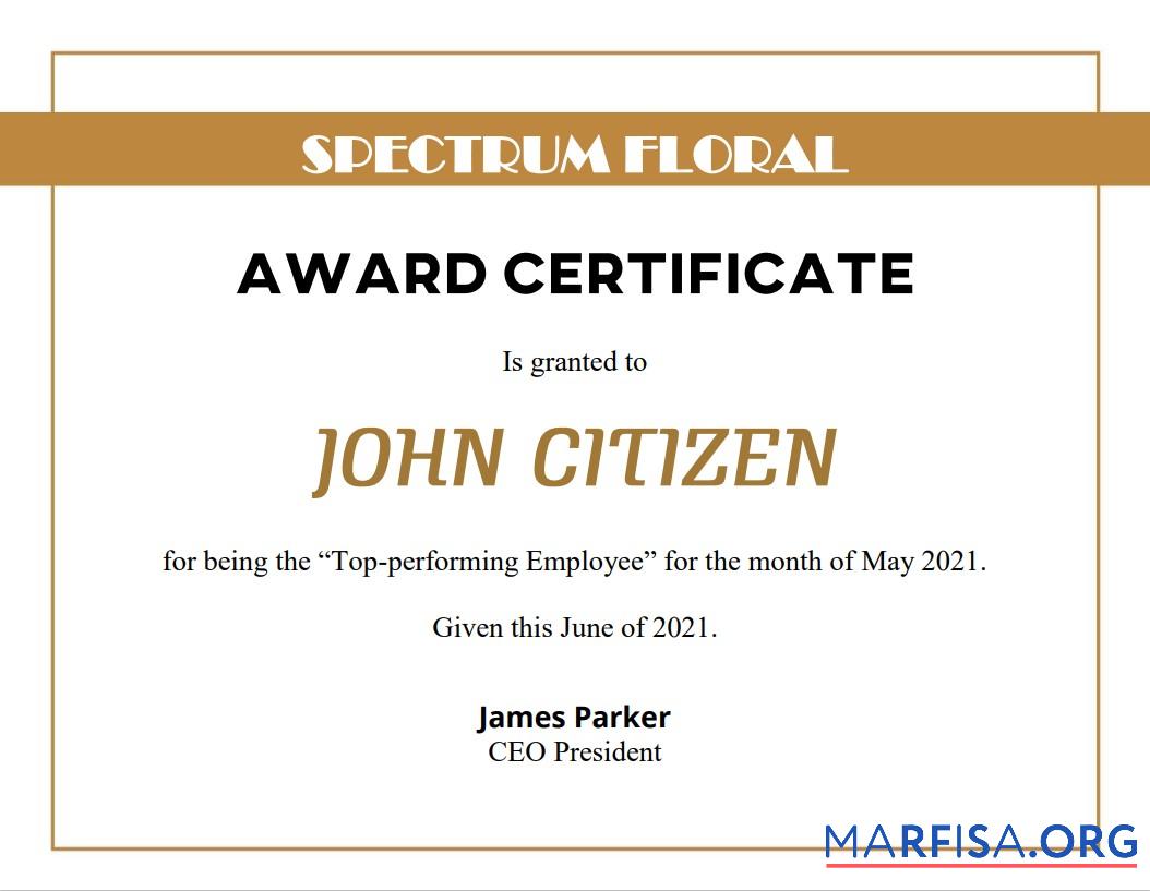 Realistic USA Award Certificate download for verification